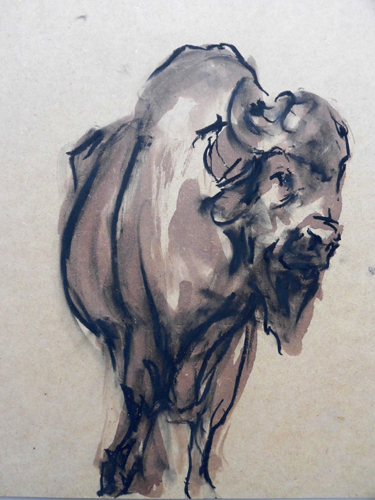 Drawings. Buffalo. 2014